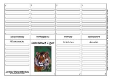 Faltbuch-Tiger-2.pdf